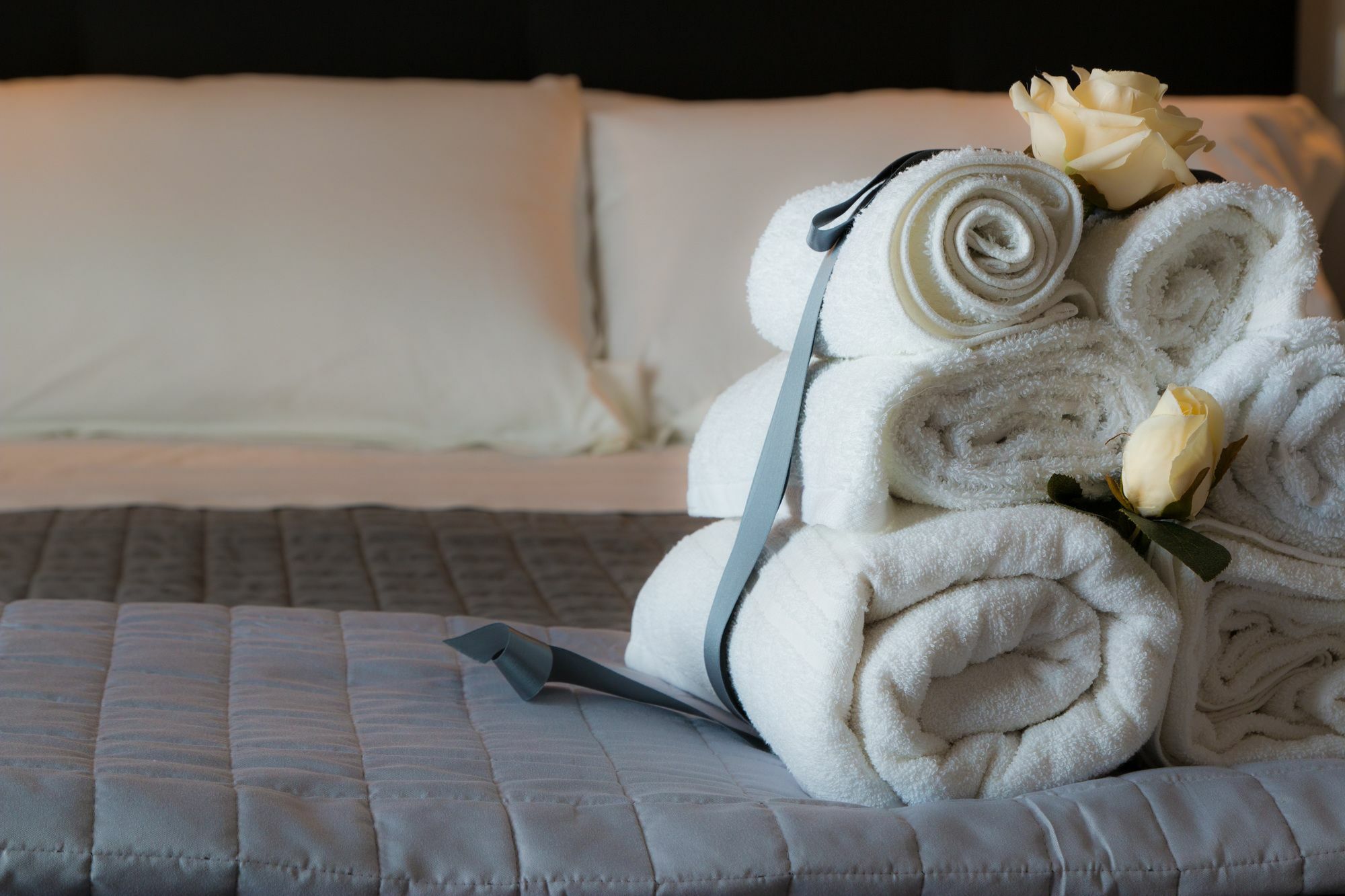 Photoguest Bed & Breakfast 3*